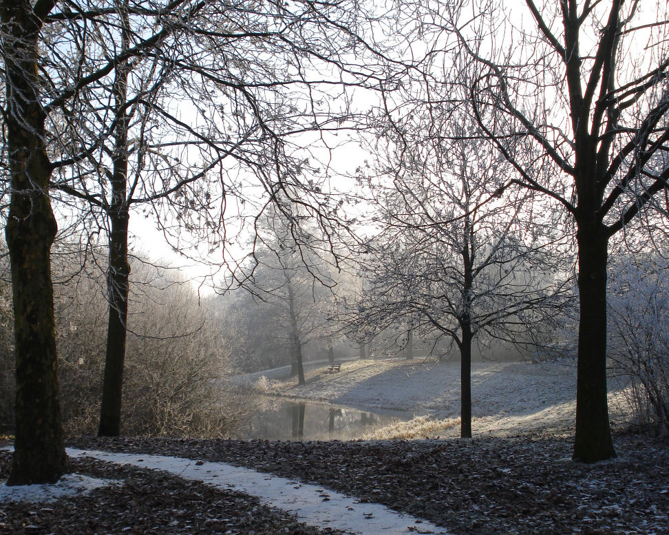 foto: Thijs de Leeuw